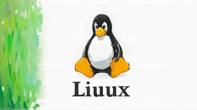 Linux下使用花生壳做内网穿透代替云服务器